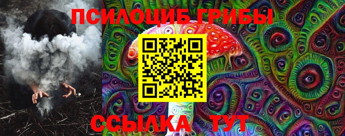 Псилоцибиновые грибы прущие грибы Нарткала
