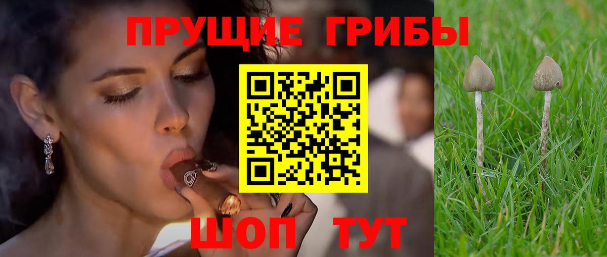 Псилоцибиновые грибы мухоморы  Вход с VPN  Нарткала 